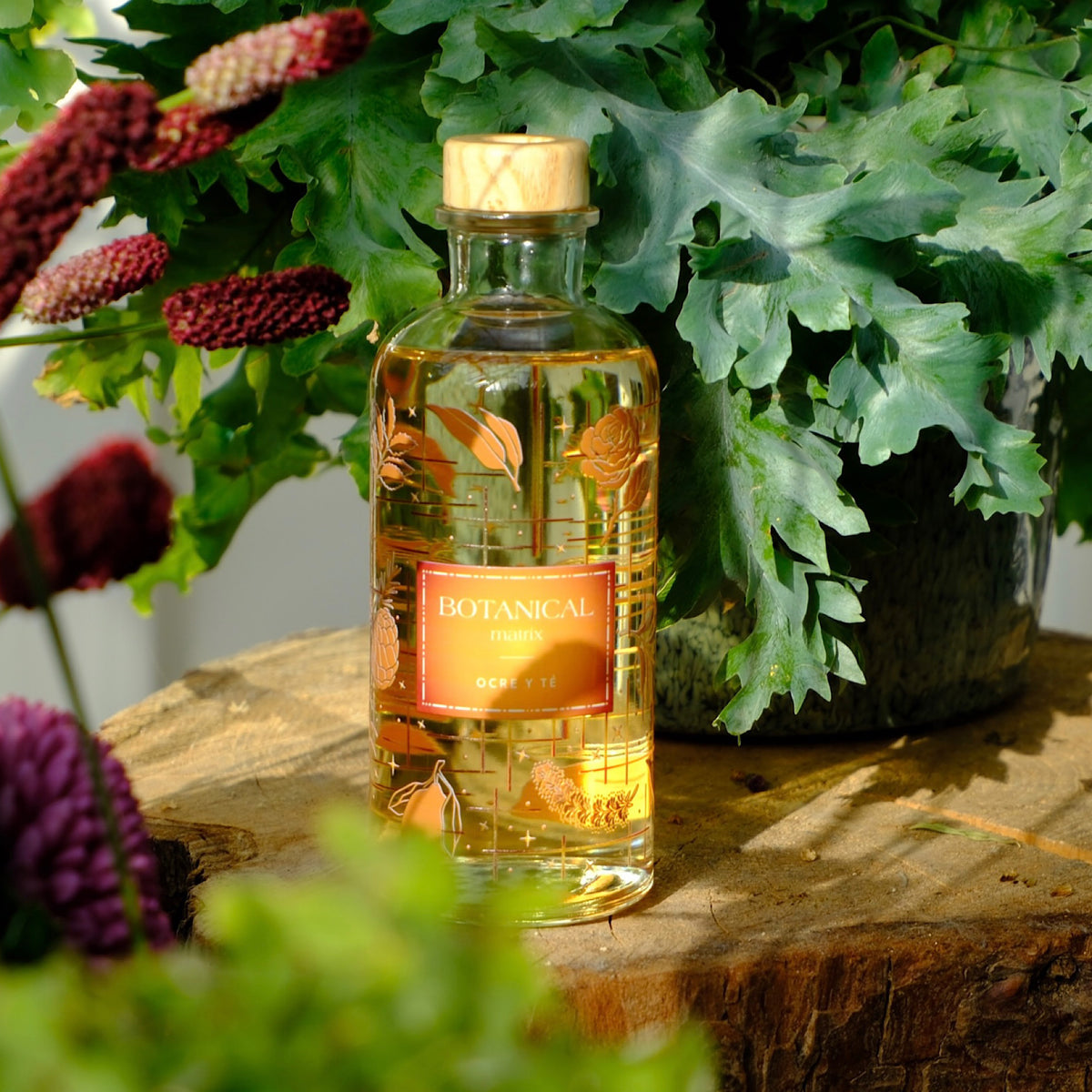 OCRE Y TÉ - Reed Diffuser 200ml